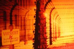 Auschwitz album kiállítás képei  2011.02.13