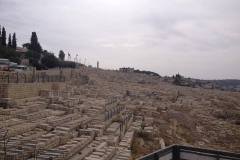 Izraeli tanulmányút  2015.11.21-24