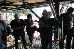 Izraeli tanulmányút  2014.11.20-24