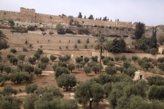 Izraeli tanulmányút  2015.10.22-25